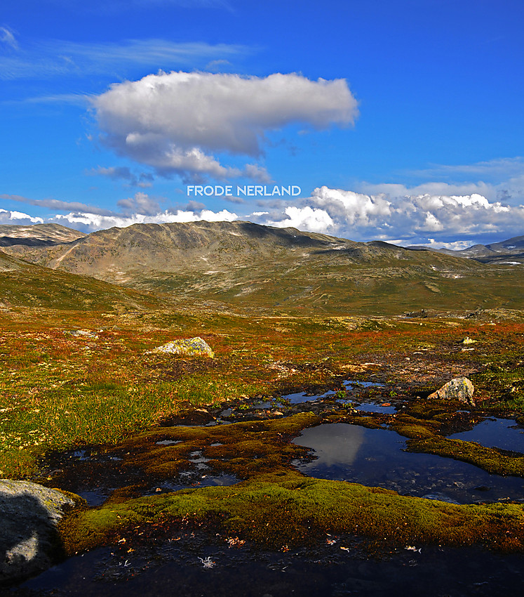 Fra Tågløypet mot Skarvdalseggen