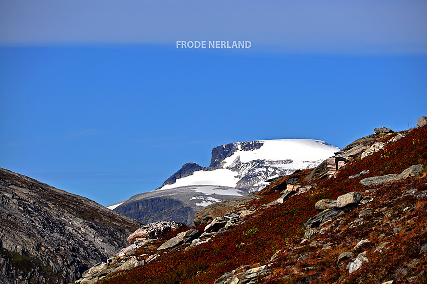 Fra Reinådalen mot Kongen