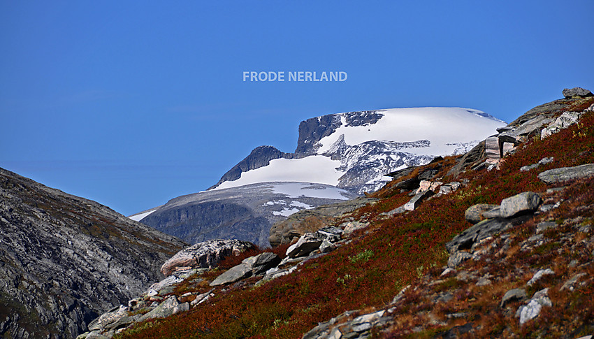 Fra Reinådalen mot Kongen