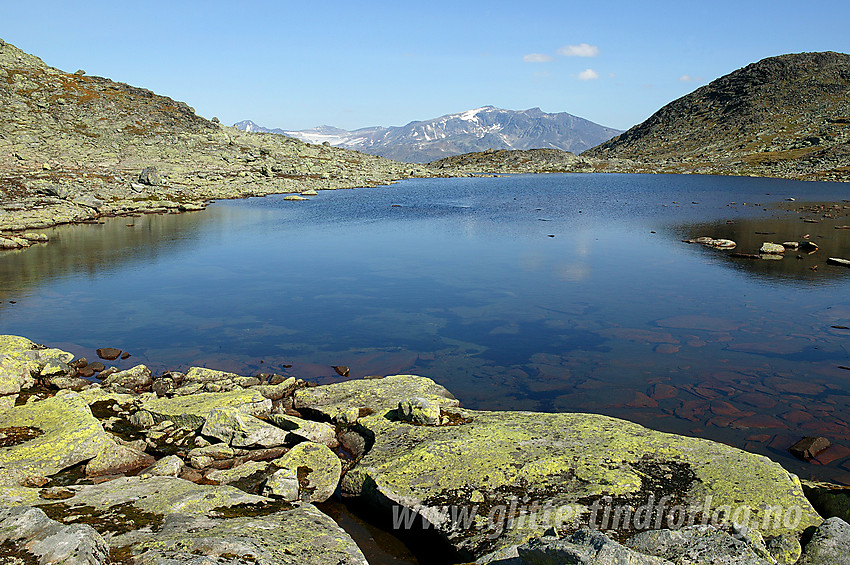 Lite tjern på ryggen nord for Knutseggen, litt øst for Svartdalen. I bakgrunnen ses Surtningssue sentralt.