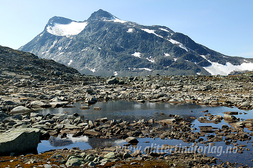 På ryggen nord for Knutseggen mot Store (2174 moh) og Nørdre (2137 moh) Svartdalspiggen.