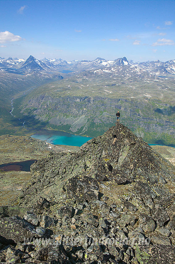 På Knutseggen med utsikt nordvestover inn i Jotunheimen.