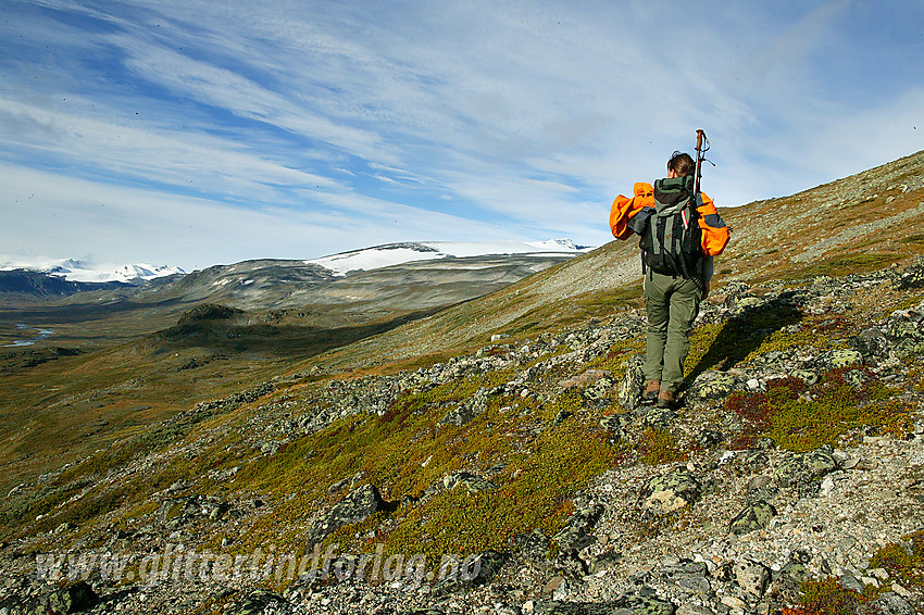 På vei opp fra Veodalen over mot Trollsteinkvelven. I bakgrunnen bl.a. Veodalen med Veo, Bergenusshaugen og Glittertinden med Gråsubrean.