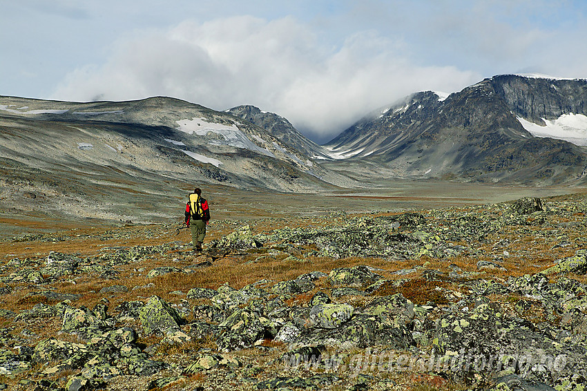 På vandring innover Trollsteinkvelven med bl.a. Grotbreahesten (2018 moh), Gråhøe (2154 moh) og Søre Trollsteinhøe (2161 moh) i bakgrunnen.