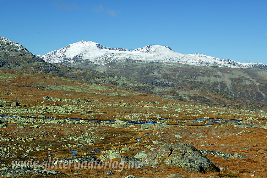 På nordsiden av Valdresflye med utsikt nordvestover i retning Tjønnholstinden (2329 moh) og Høgdebrotet (2226 moh).