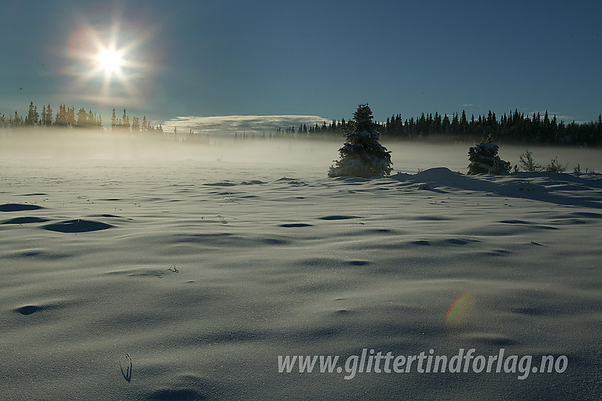 Morgenstemning i Skardåsenløypa fra Skrautvål skisenter oppover mot Skardåsen.