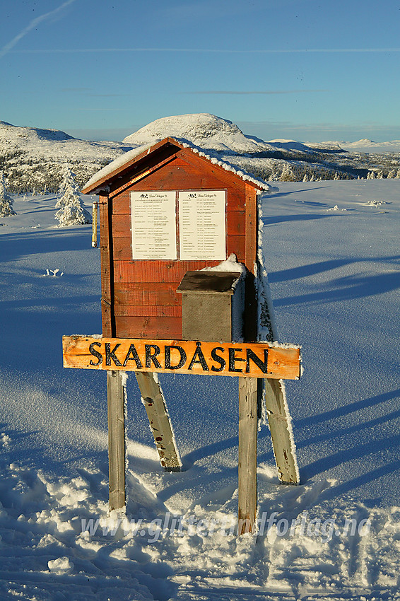 På toppen av Skardåsen (1071 moh).