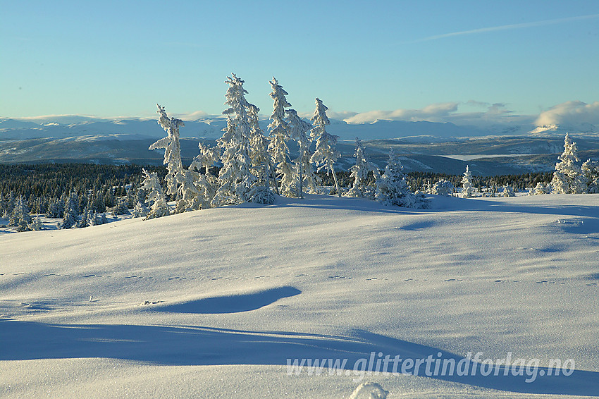 På toppen av Skardåsen (1071 moh) med utsikt i retning Hemsedalsfjell og Vang.