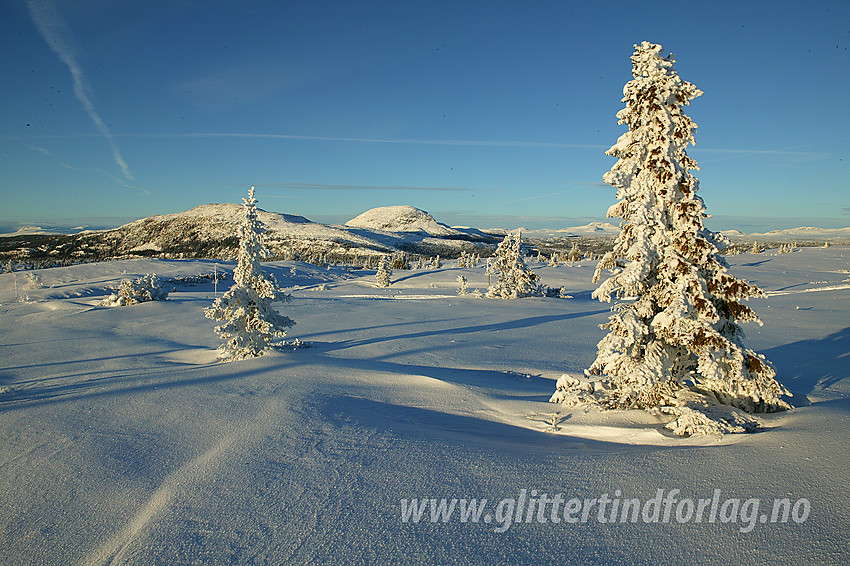 Flott dag i førjulsvinteren oppunder toppen på Skardåsen (1071 moh). Trærne er snøkledde og utsikten topp. Her mot bl.a. Skarvemellen og Rundemellen.