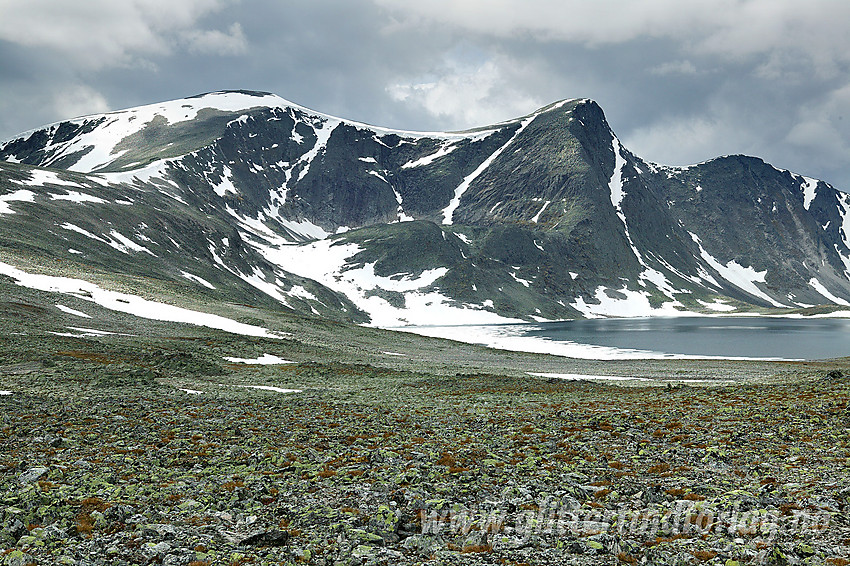 På vei mot Skredahøin. Store Skredahøe (2004 moh) til venstre, 1994-toppen i midten og Nørdre Skredahøe (1943 moh) til høyre. Foran til høyre ses en flik av Svånåvatnet.