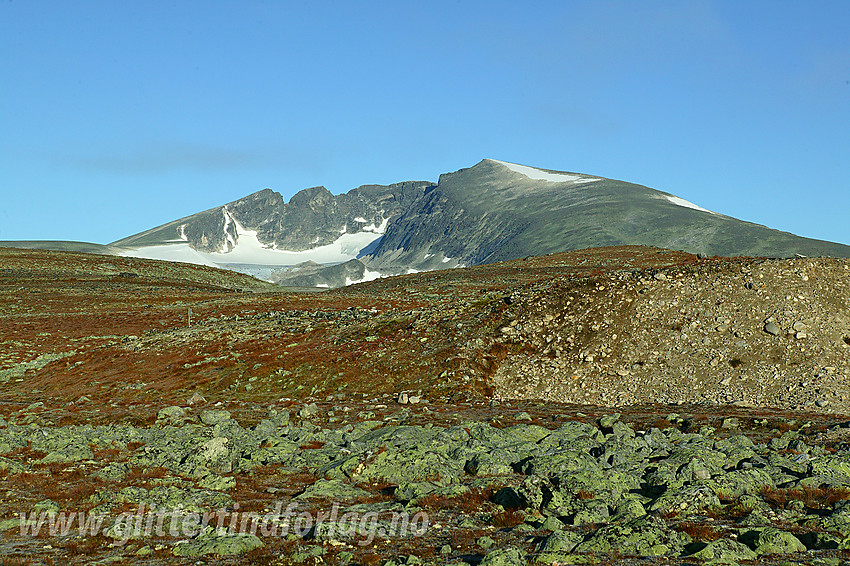 Snøhetta sett fra Snøheim.