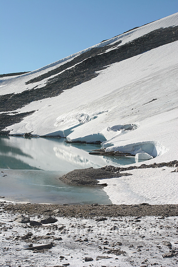 Fronten på den østvendte breen på Snøhettamassivet.