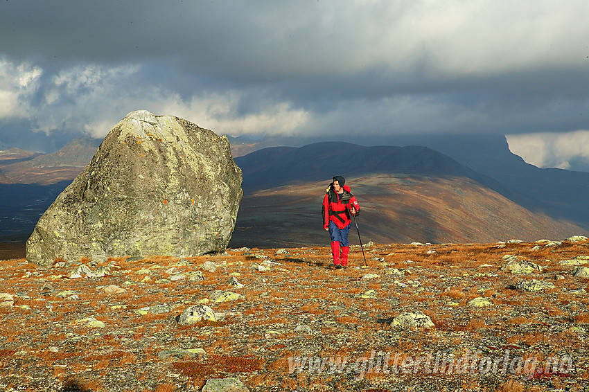 På vei til Gråskarvet (1731 moh) ved Hallingsteinen. I bakgrunnen Smådalsfjellet (1371 moh).