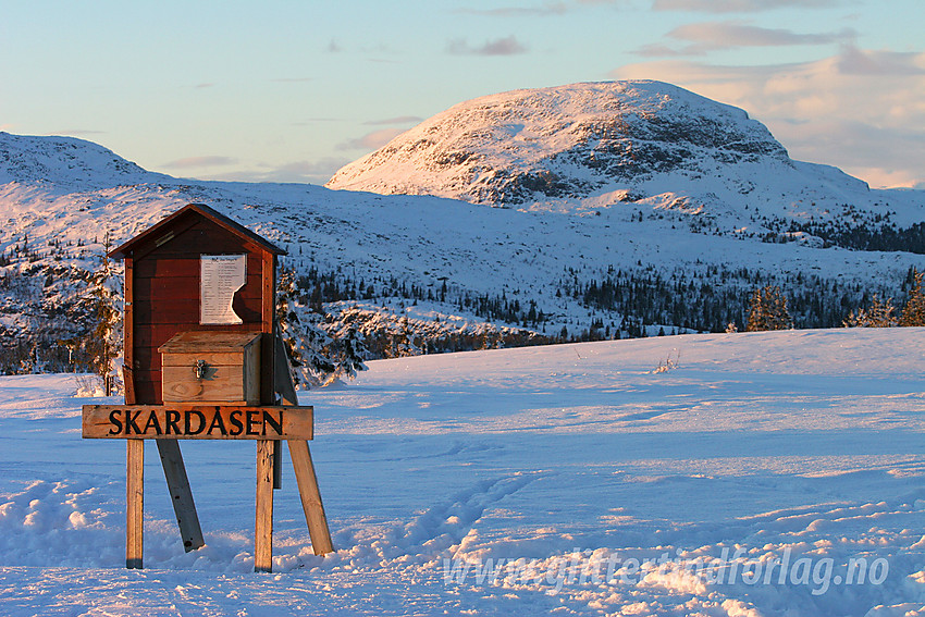 På toppen av Skardåsen en vinterkveld med Rundemellen (1345 moh) i bakgrunnen.