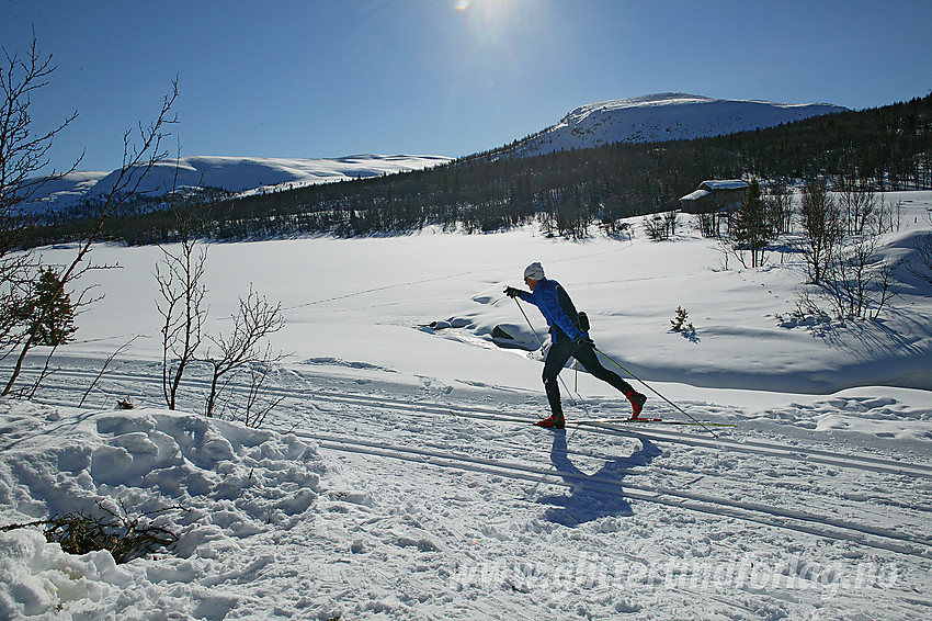 Skiløper ved Naustvolltjernet. Det høyeste fjellet i bakgrunnen er Meitebekkfjellet.