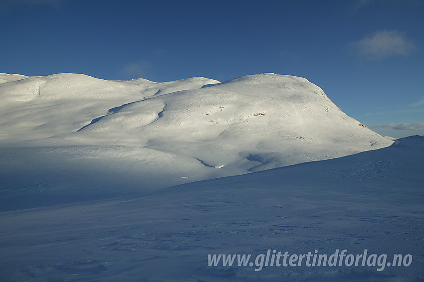 I Heimre Fagerdalen mot Synshorn (1475 moh).