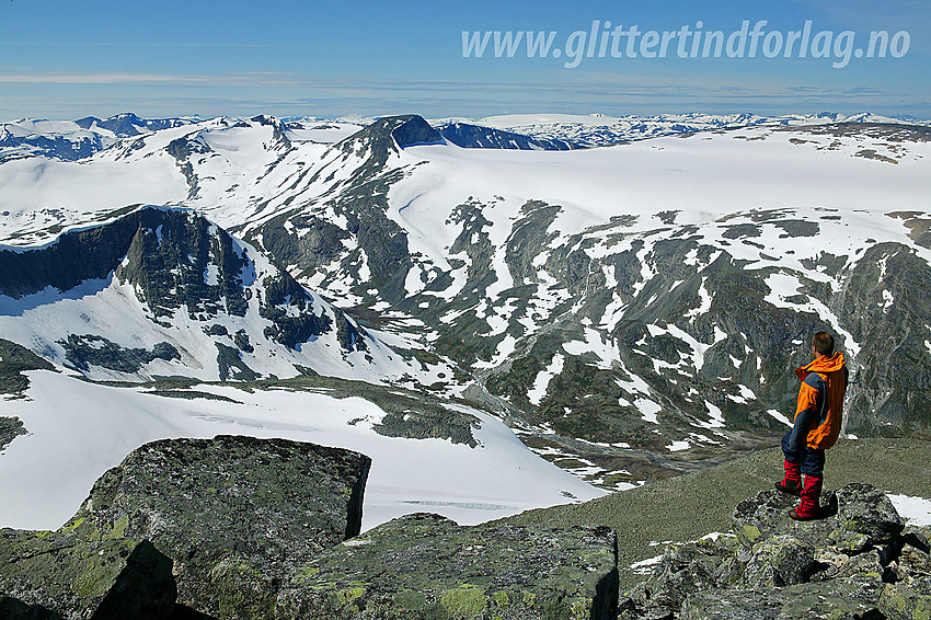 Utsikt fra Vestraste Hestbreapiggen mot bl.a. Vesldalstinden (1805 moh), Austre Holåtinden (2043 moh) og Holåbrean.