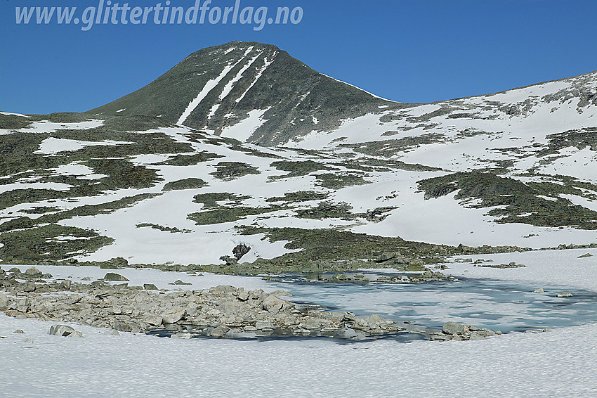 Vestraste Hestbreapiggen (2078 moh) fra sørvest.