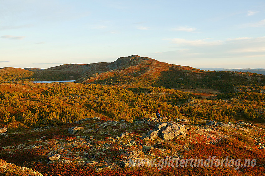 Fra Steinknatten mot Binnhovdknatten (1165 moh).