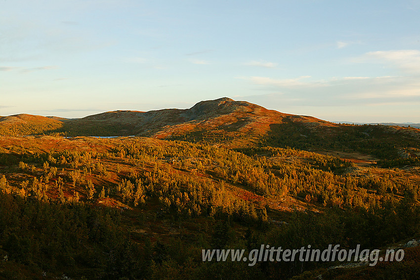 Fra Steinknatten mot Binnhovdknatten (1165 moh).