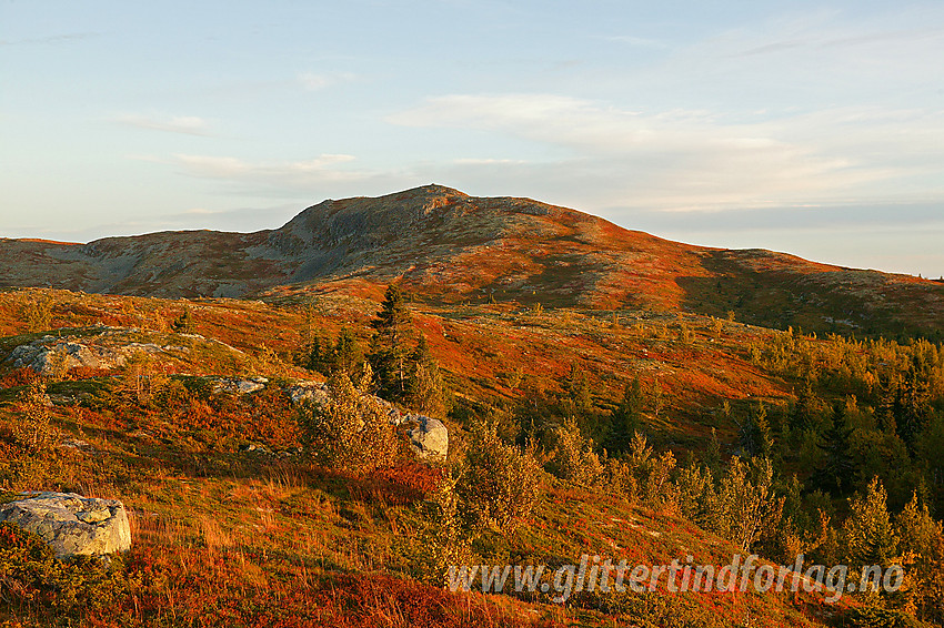 En høstkveld nordvest for Binnhovdknatten (1165 moh).