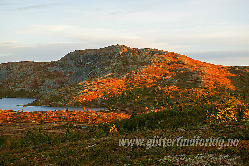 Binnovdknatten (1165 moh) sett fra nord-nordvest.