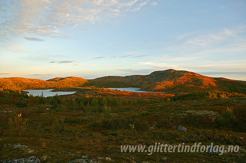 Binnhovdknatten (1165 moh) sett fra nordvest.