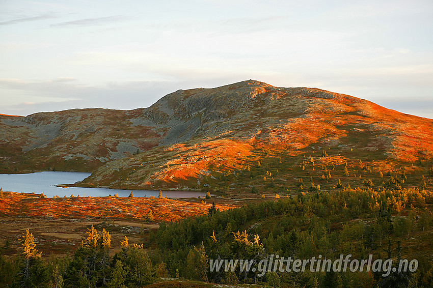 Binnovdknatten (1165 moh) sett fra nord-nordvest.