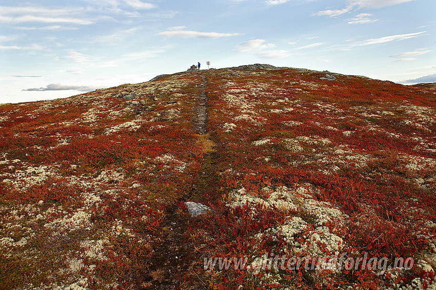 Mot toppen på Makalausfjellet (1099 moh).