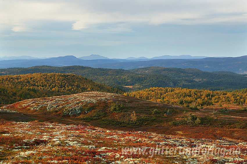 Utsikt nordover fra Makalausfjellet. I det fjerne drar man bl.a. kjensel på Skaget.