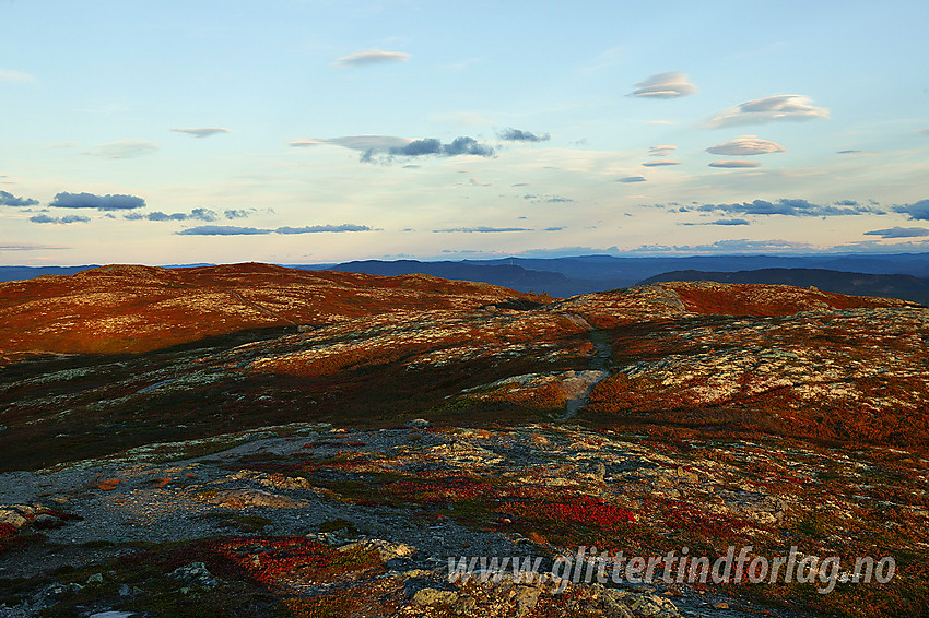 På Vesttoppen på Makalausfjellet med utsikt bortover mot Østtoppen.