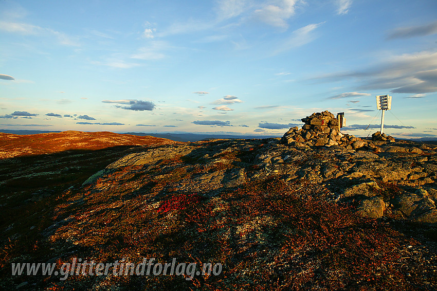 Toppen på Makalausfjellet (1099 moh).