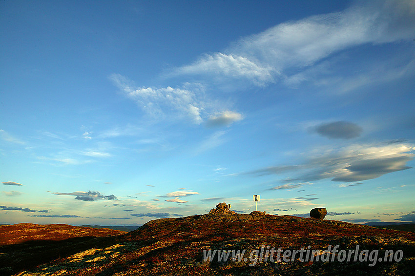 Toppen på Makalausfjellet (1099 moh).