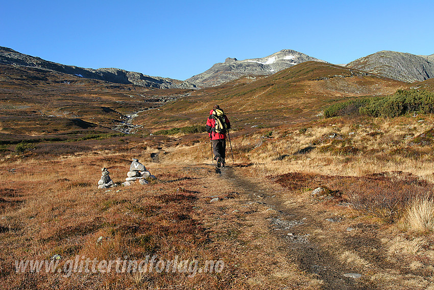 På vei fra Mugnestølen på merket sti mot Mugnetinden. Toppen ses i bakgrunnen.