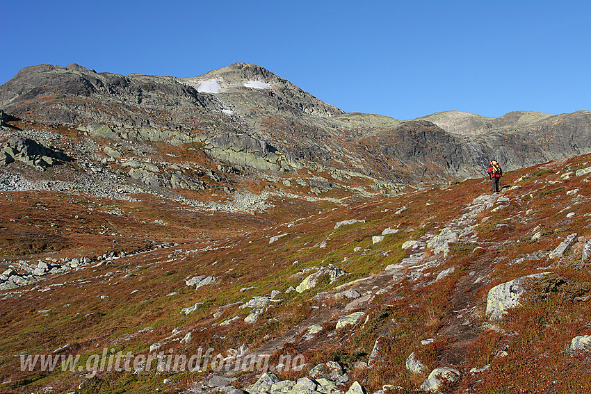 Litt nedenfor Mugnebotten på stien fra Mugnestølen med Mugnetinden (1737 moh) i bakgrunnen.