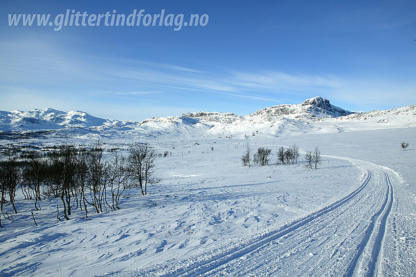 Skiløype fra Garli og nedover mot Smørkoll. (Løype blå 2).