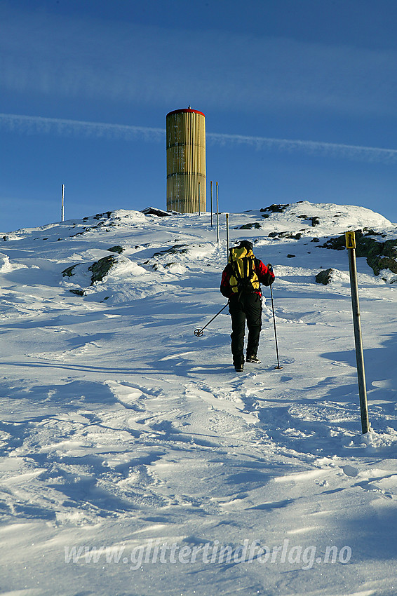 På vei opp de siste meterne mot Bitihorn (1607 moh).