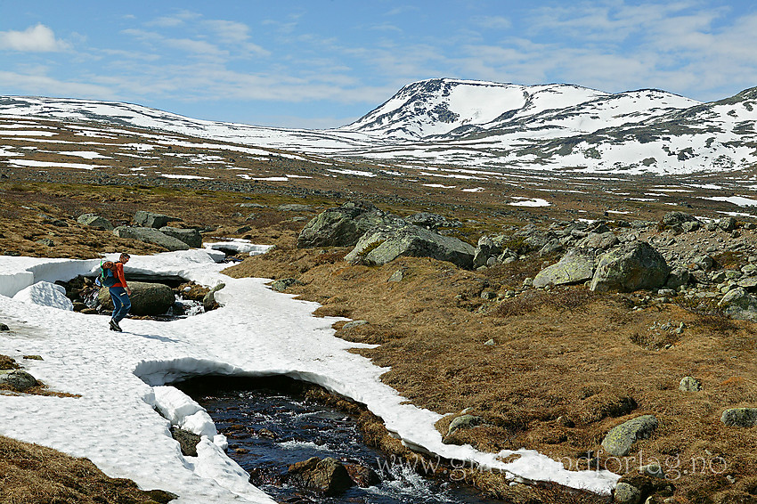 Fjelltur på forsommeren. Her krysses nordsiden av Valdresflye og bak til høyre ses Øystre Rasletinden (2010 moh).