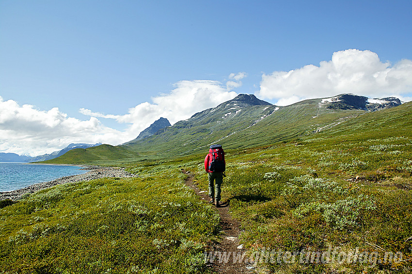 På vei vestover langs Bygdin. I bakgrunnen bl.a. Torfinnstindane og Nørdre Kalvehølotinden.