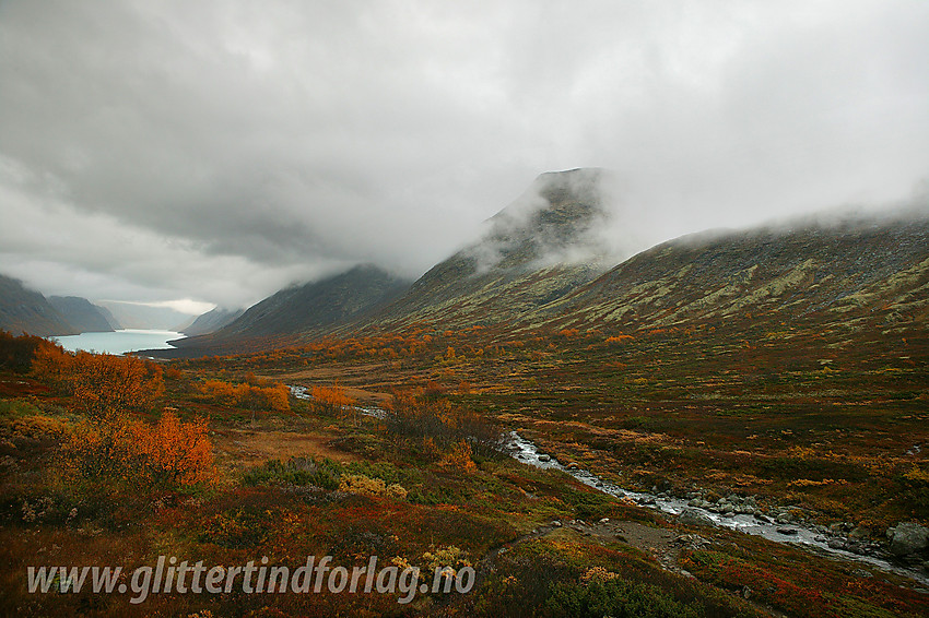 Regntung høstdag i Veslådalen.