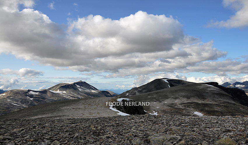 Fra Vardfjellet mot Dordinakkan,Serkjenebba og Smellfonnebba