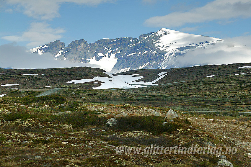 Ved Snøheimveien, omtrent ved avkjørselen mot Maribue (Stridåbrue) med Snøhettmassivet i bakgrunnen.