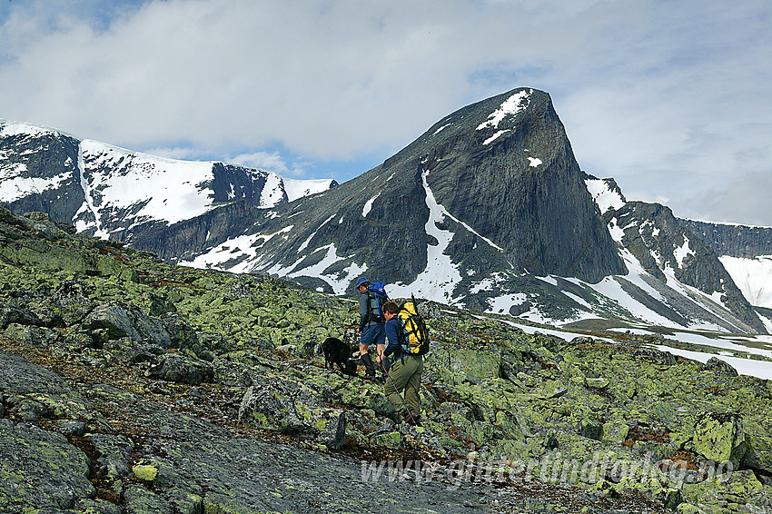 Fjellvandrere i Svånådalen med kurs mot Bruri (2001 moh) som ses i bakgrunnen.