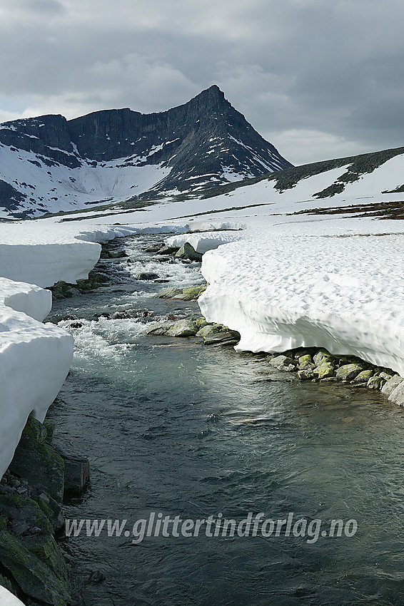 Ved Svone med Store Langvasstinden (2085 moh) i bakgrunnen.