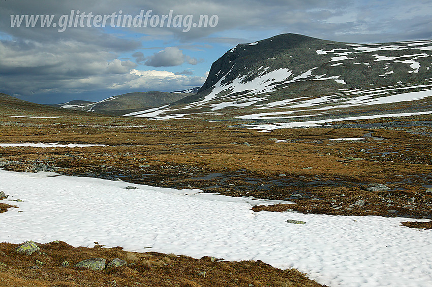 I Svånådalen med Flathøe (1703 moh) bak til høyre.