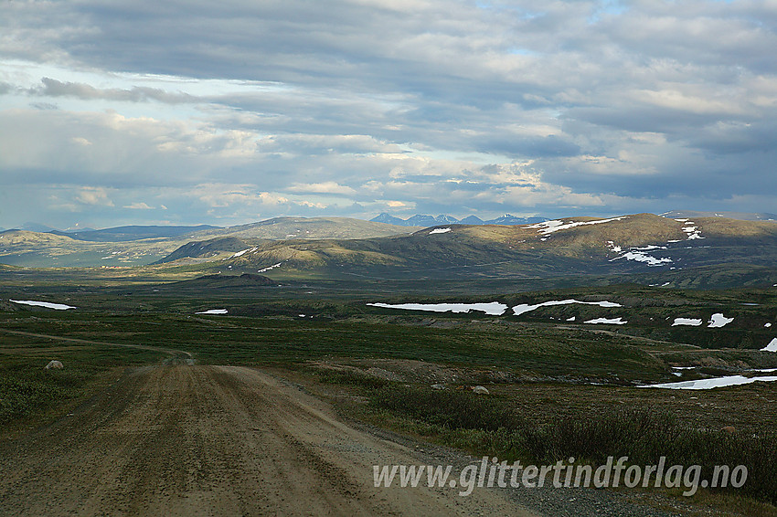 På vei ned Snøheimveien mot Hjerkinn. Bak til høyre skimtes Rondane i det fjerne.