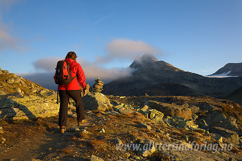 På tur langsetter stien fra Koldedalsvatnet og opp til Uradalsvatnet med Uranostinden (2157 moh) i bakgrunnen.