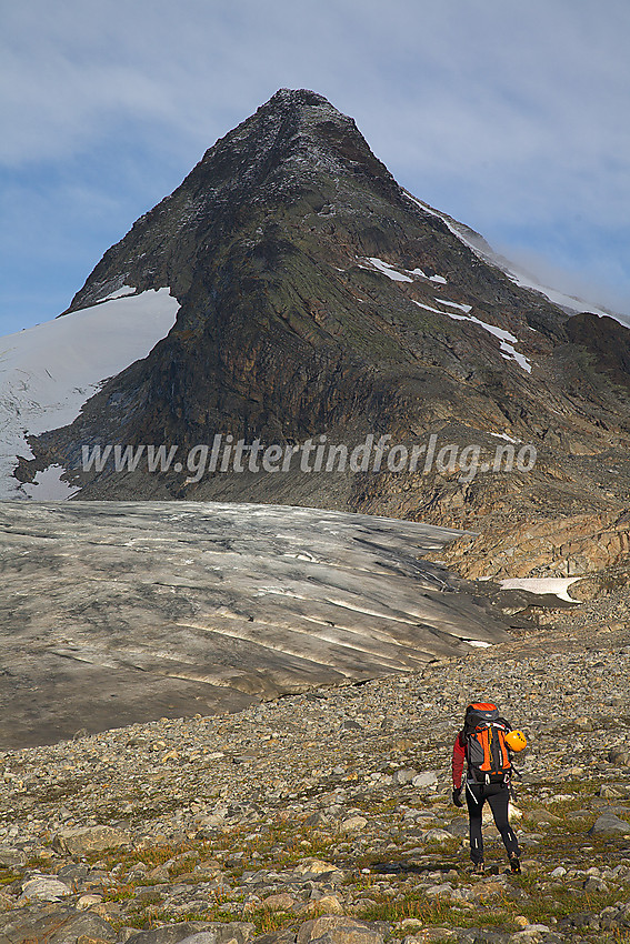 På vei mot sørøstryggen på Mjølkedalspiggane. Mjølkedalsbreen ses til venstre.