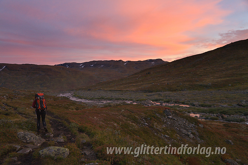 På vei ned Mjølkedalen (med Mjølkedøla til høyre) en høstkveld. Skjenegge (Utsikten) (1607 moh) i bakgrunnen.