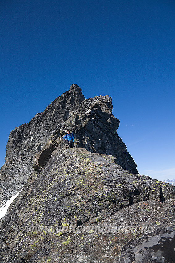 På østryggen mot Sokse med toppen (2189 moh) i bakgrunnen.